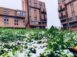 Image post by @universityatbuffalo on Instagram