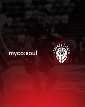 Image post by @londonlions on Instagram