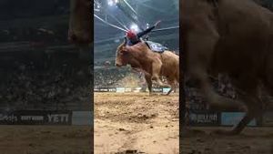 Video post by @pbr on YouTube