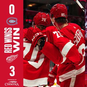 Image post by @detroitredwings on Instagram