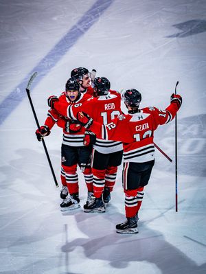 Image post by @ohlicedogs on Instagram