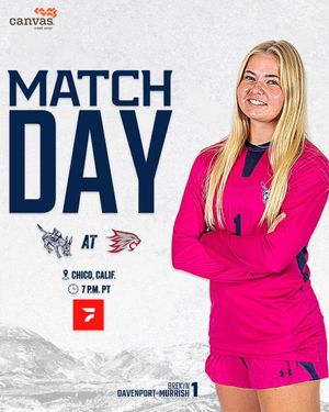 Image post by @mineswsoc on Instagram