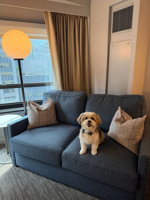 Image post by @nyhiltonmidtown on Instagram