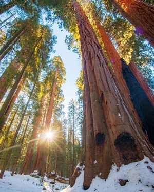Image post by @nationalparkscollective on Instagram