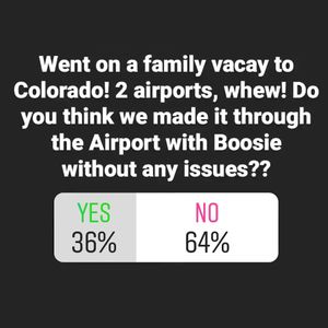 Image post by @raisingculturesfamily on Instagram