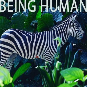 Image post by @brunarotunno on Instagram