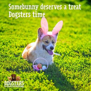 Image post by @dogstersicecream on Instagram