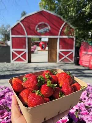 Image post by @tourismabbotsford on Instagram