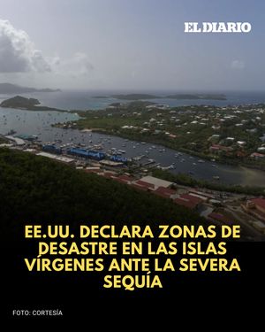 Image post by @eldiariony on Instagram