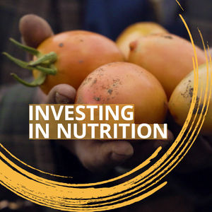 Image post by @worldbank on Instagram