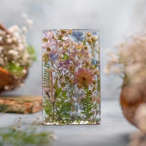 Image post by @leafyaffair on Instagram