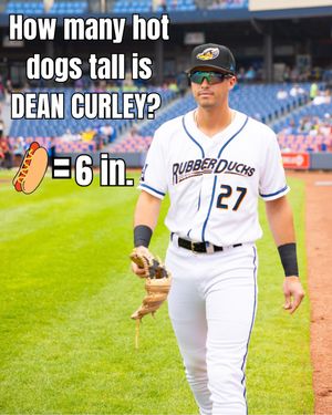 Image post by @akronrubberducks on Instagram