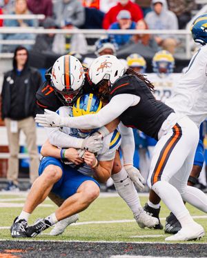 Image post by @gocamelsfb on Instagram