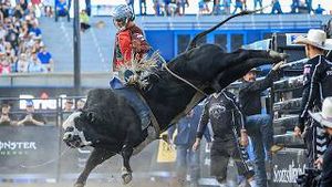 Video post by @pbr on YouTube