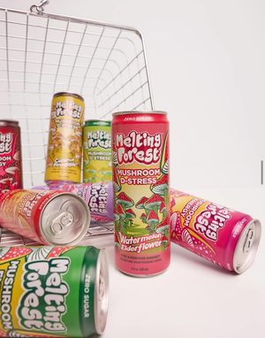 Image post by @meltingforest on Instagram