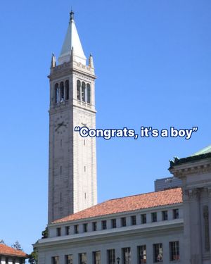 Video post by @ucberkeley on TikTok