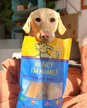 Image post by @honeyimhome on Instagram