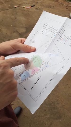 Video post by @operitoambiental on Instagram