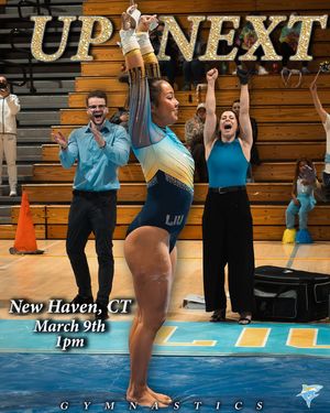 Image post by @liuwgymnastics on Instagram