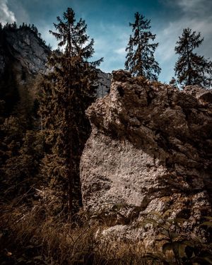 Image post by @cristan.nature.photography on Instagram