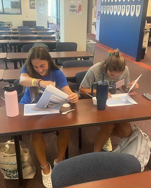 Image post by @hofstrapridepillars on Instagram
