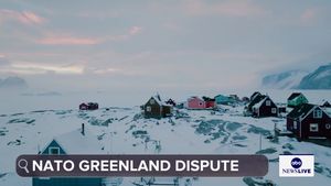 Video post by @abcnewslive on TikTok