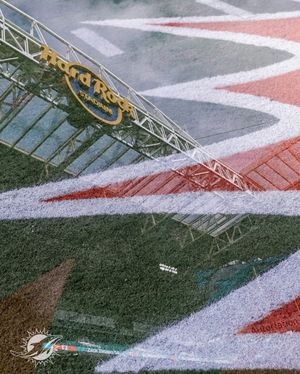 Image post by @miamidolphins on Instagram