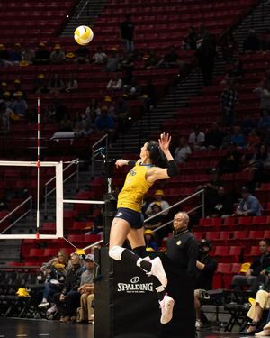 Image post by @sandiegomojovb on Instagram