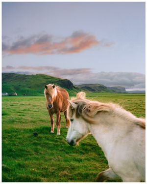 Image post by @alexkittoephotos on Instagram