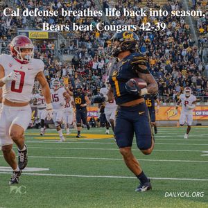 Image post by @dailycalsports on Instagram