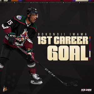 Image post by @ArizonaCoyotes on Twitter
