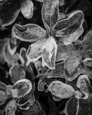 Image post by @jtobiasphoto on Instagram