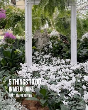 Image post by @visitmelbourne on Instagram