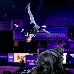 Image post by @usequestrian on Instagram