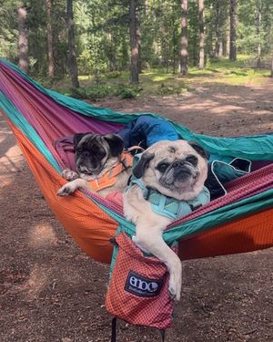 Image post by @enohammocks on Instagram