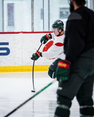 Image post by @mnwild on Twitter
