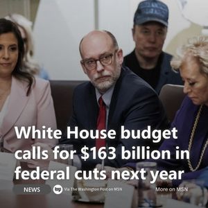 Image post by @msn on Instagram