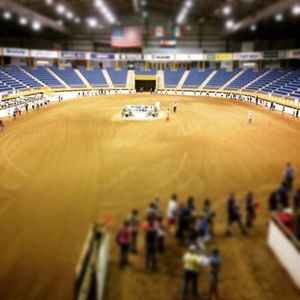 Image post by @nationalwestern on Instagram