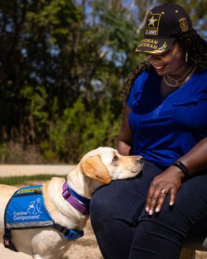 Image post by @canineorg on Instagram
