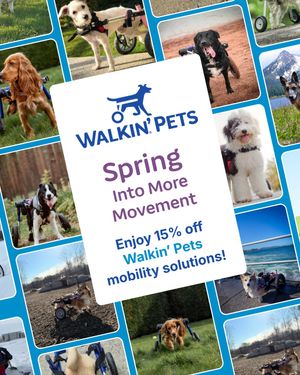 Image post by @walkinpets on Instagram