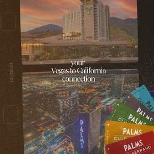 Image post by @palms on Instagram