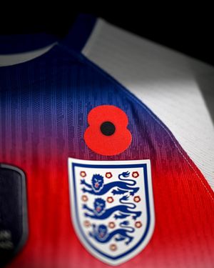 Image post by @lionesses on Instagram