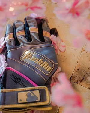 Image post by @franklinsports on Instagram