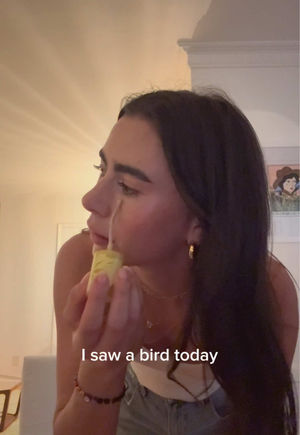 Video post by @alsaarel on TikTok