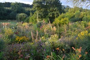 Image post by @ahs_gardening on Instagram