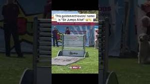Video post by @espn on YouTube
