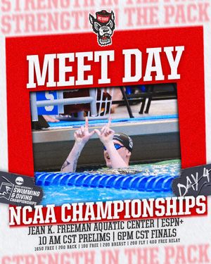 Image post by @packswimdive on Twitter