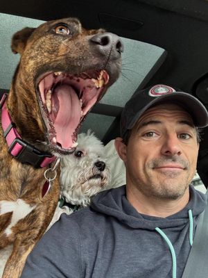 Image post by @mattgutmanabc on Instagram