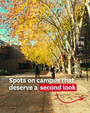 Image post by @macquarieuni on Instagram