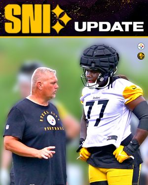 Image post by @steeler.nation.inc on Instagram